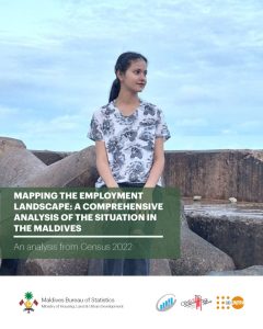 Mapping the Employment Landscape: A Comprehensive Analysis of the situation in the Maldives