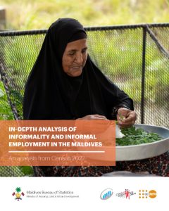 In-depth analysis of informality and informal employment in the Maldives
