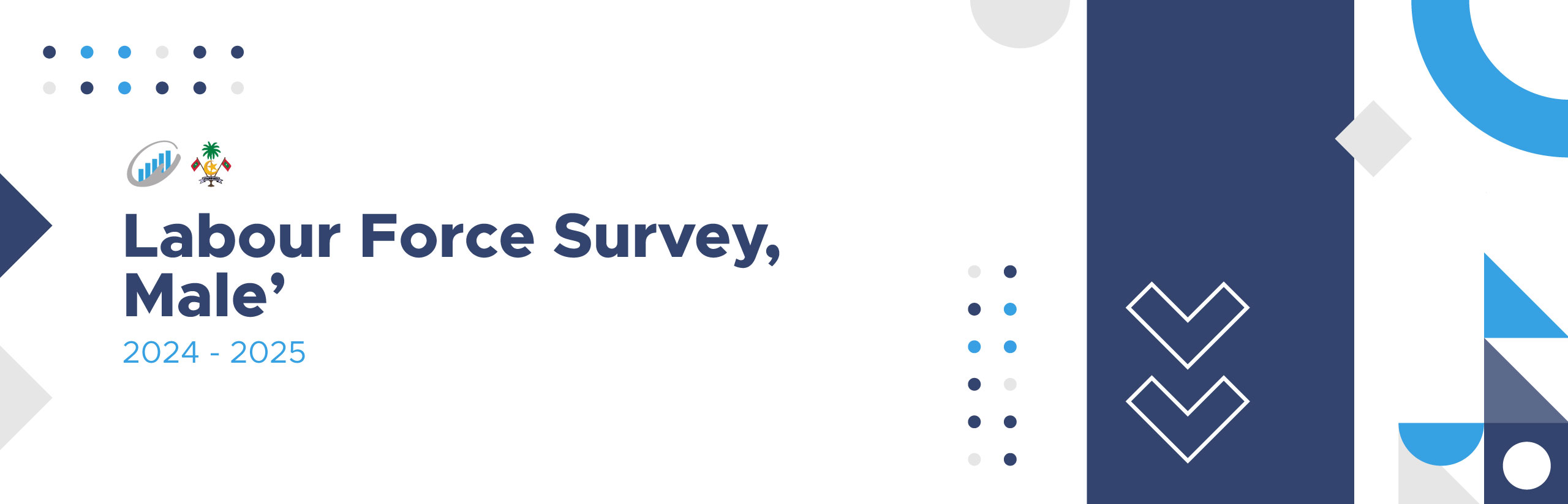 Labour Force Survey Report 2024-2025