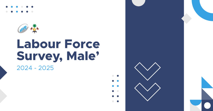 Labour Force Survey Report 2024-2025